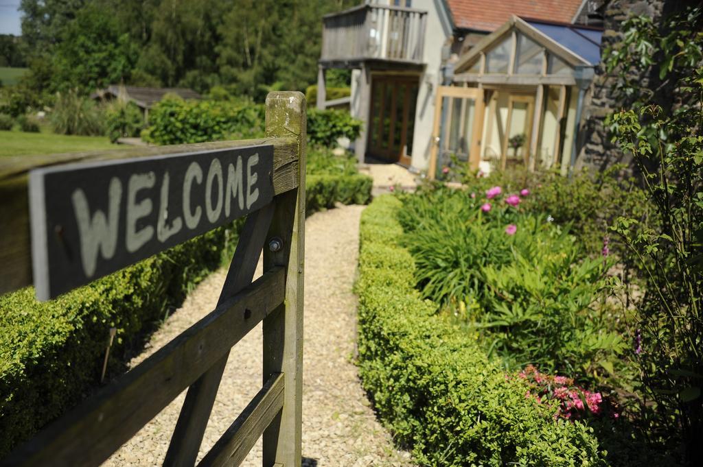 Bitterley Timberstone Bed & Breakfast Bed & Breakfast エクステリア 写真
